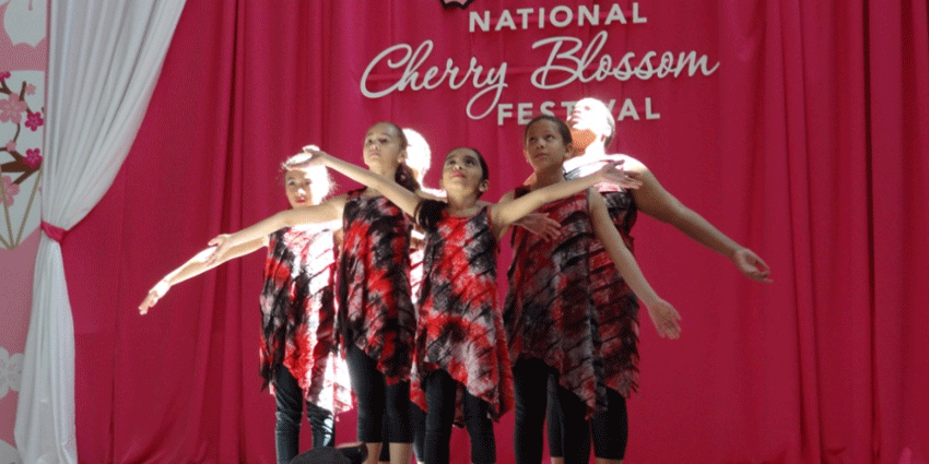 Permalink to: Company Dances at Cherry Blossom Festival